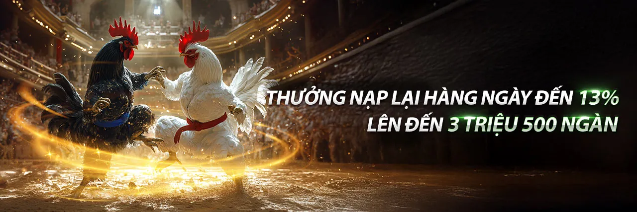 Sân vận động lớn với người hâm mộ cuồng nhiệt và các môn thể thao